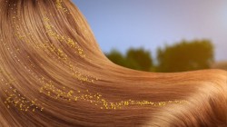 Garnier Fructis